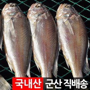 제사 제수용 반건조생선 세트 조기 장대 박대 병어 도미, 제수용 조기 5미 600g 내외, 1개