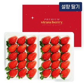 새콤달콤 설향 딸기 800g(특품/25~30과)