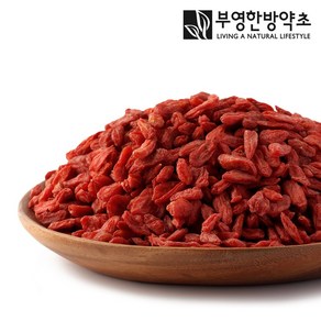 부영한방약초 최상품 영하 구기자 고지베리, 600g, 1개