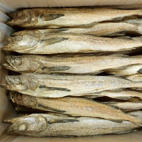 [하늘덕장/대용량/업소용] 용대리통황태 100마리 - 국내건조, 특(41-43cm), 1박스, 8.3kg