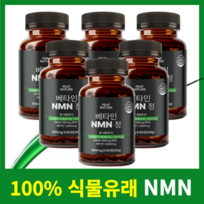 피트네이처 식물성 NMN 영양제 엔앰엔 식약청인증 HACCP, 6개, 60정