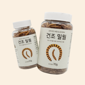 살아있는 국내산 청년밀웜 수퍼밀웜, 건조밀웜(1+1미포함상품), 25g, 1개, 25g