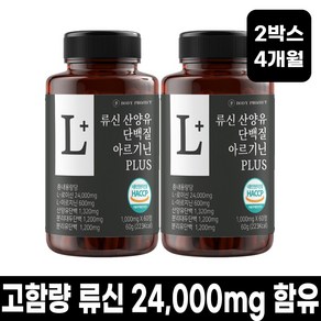 바프 24000mg 고함량 류신 단백질 플러스 타블렛 단백질흡수 근육 보충 60정, 25000mg, 2개