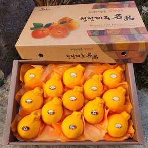 따봉프레시 3차선별 새콤달콤 제주 한라봉 가정용 선물용, 1박스, 2kg(가정)