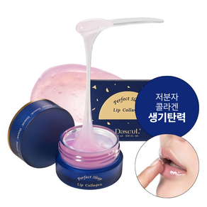 다슬 퍼펙트 슬립 립 콜라겐 콜라겐 립마스크 생기 각질 영양 오버나이트 립케어 립밤 슬리핑 마스크 15ml, 1개