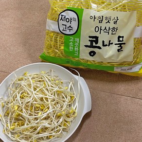 5분마켓 재야 콩나물 김치콩나물국 콩나물불고기 1KG, 1개