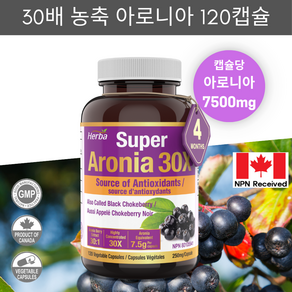 아로니아정 7500mg 120식물성캡슐 30배 농축 고함량 아로니아 캡슐 안토시아닌 허바 캐나다