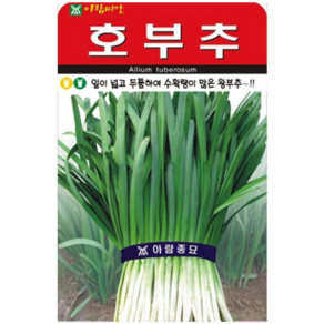 주주씨앗 채소 씨앗 모음 / 상추 쌈채소 유럽상추 치커리 다채 시금치 등, 1개