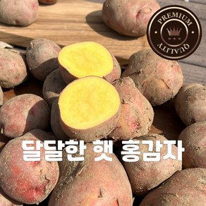 카스테라 감자 특품 햇 감자 홍감자 산지직송, 1박스, 중3kg