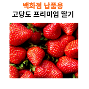 [꿀벌이먹는] 고당도 달달과육 설향 딸기, 1개, 750g