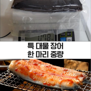 고창 풍천장어 1종 자포니카 민물장어 1.2kg 손질후 750g+++ 이상