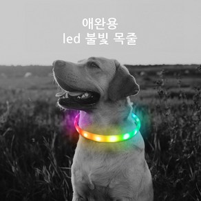 윈티크 애완용 사고 예방 LED 불빛 목줄, 레인보우, 1개