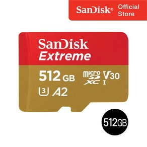 샌디스크 마이크로 SD카드 SDXC Exteme 익스트림 QXAV 512GB, 1개