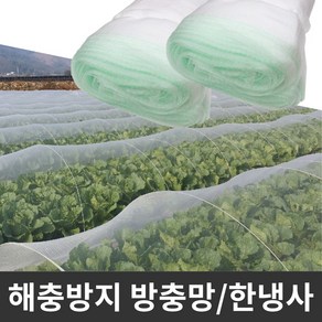 농작물 병충해방지 한냉사 텃밭 모기장 한랭사, 한냉사 1.8m X 20y, 1개