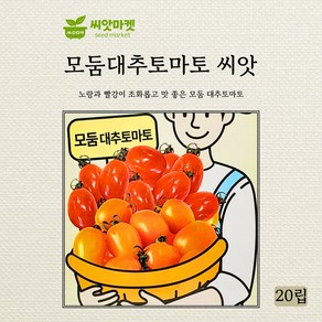 아시아종묘 모둠 대추토마토 씨앗 20립, 1개