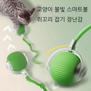 윈티크 고양이 꼬리잡기 스마트볼 공놀이 장난감, 1개, 라임 그린