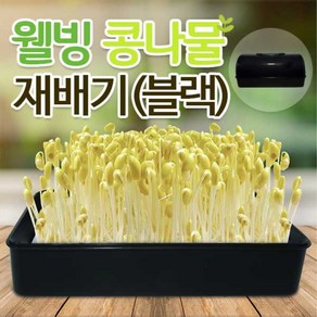 콩나물기르기 집에서 콩나물 무순 숙주나물 땅콩 새싹 키우기 기계 재배 기, 1개