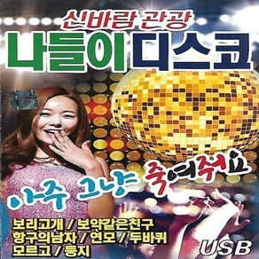 USB 음반 신바람 관광 나들이 디스코 81곡