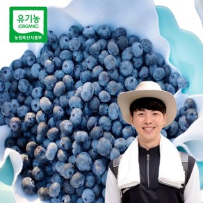 산지드림파머스 국산 급냉 최상급 농장 친환경 유기농 블루베리 특품 국내산 불루베리 bluebey 냉동, 1개, 특사이즈, 1kg