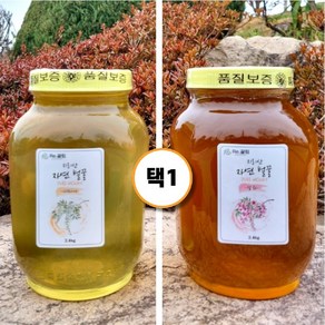 지리산 100% 자연산 아카시아 잡화 국산 자연 벌꿀 2.4kg 1병, 1개