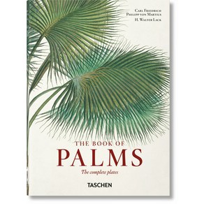 (영문도서) Martius. the Book of Palms. 40th Ed. Hardcover