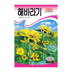 경신종묘 꽃씨앗 해바라기 50립, 55 해바라기(황색갈색심)50립, 1개