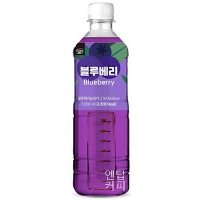 대호 블루베리 액상 카르페데이 1000ml 12개입, 1L, 12개