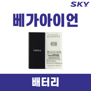 SKY 베가 아이언(A870) 정품 A급 VEGA 중고 배터리