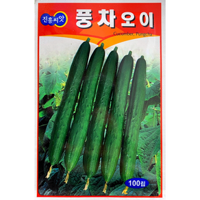 진흥종묘 풍차오이씨앗100립 여름용 청오이