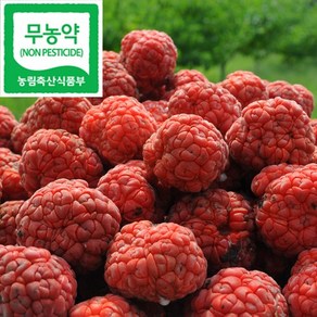 국산 무농약 꾸지뽕 열매(냉동) 5kg