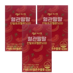 씨스팡 혈관팔팔 500mg 30정 3박스 423405