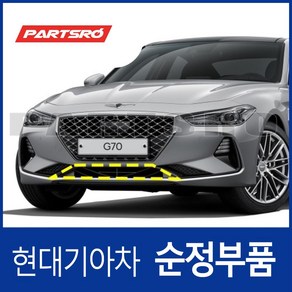 프론트 범퍼 그릴 (86560G9000) 제네시스 G70 현대모비스 부품몰, 1개