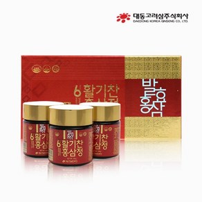 대동고려삼 활기찬 홍삼정 100g x 3병 6년근 발효홍삼 함유 기억력개선 면역력증진 피로개선, 3개, 300g