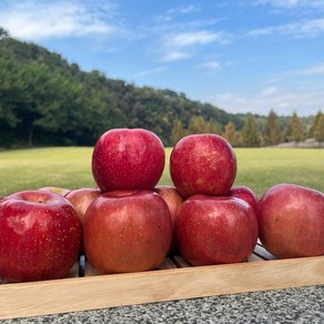 [과일정원] 고당도 부사 사과 아삭한 꿀사과 산지직송