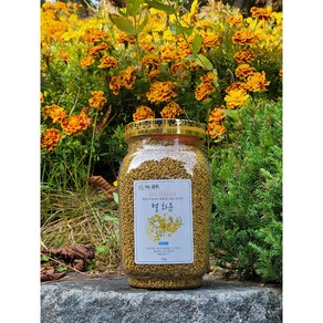 지리산 국산 먹는 꽃가루 건조 벌화분 비폴렌 BEEPOLLEN 1kg 1병, 1개