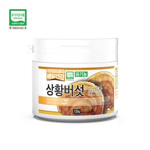 매일건강 유기농 상황버섯 100% 분말 (스푼포함) 면역력 강화 베타글루칸, 1개, 120g