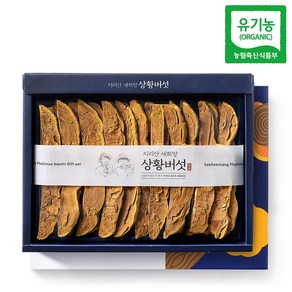 산청 지리산 새희망 유기농 상황버섯 특품 선물용 절편 100g, 1개