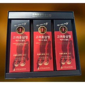 천삼인 고려홍삼정 에브리웰빙 스틱 10ml x 30개입 6년근 홍삼 스틱 엑기스 진액 부모님 할아버지 할머니 건강 효도 선물 명절, 300ml, 1개