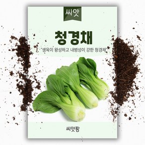 청경채씨앗(1000립)