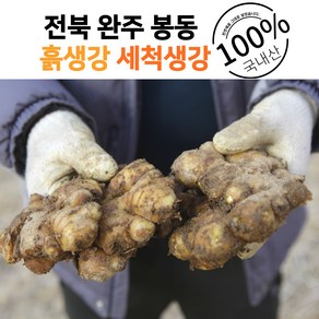 이덕구 농부님 생산자직송 봉동 전통생강 개량종 흙생강 세척생강, 세척생강1kg, 1개