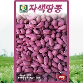 자색땅콩씨앗 20g 맛과 영양이 풍부한 땅콩씨앗, 1개