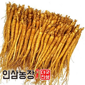 더굿진생 인삼 수삼 금산인삼 원수삼 난발삼 파삼 삼계 350g, (세척안함)식당알뜰형350g(55~70뿌리, 1개