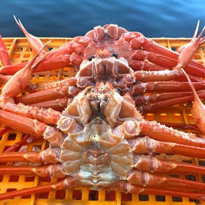 국내산 독도홍게 프리미엄형 자숙 수율보장 70% 1박스 3kg (8-10미), 자숙(찜), 1개