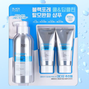 블랙포레 쿨링 탈모완화 샴푸 500ml+150mlx2입 올리브영, 1세트