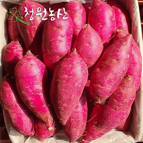 청원농산 햇밤 꿀고구마 3kg 5kg 10kg, (특/특상) 3kg  x 1box, 1개