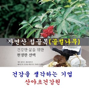 접골목진액(35일분):70팩 딱충나무 말오줌나무 접골탕 우슬접골탕 녹각접골탕, 1개, 110ml