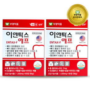 부광약품 이엔탁스 에프 1500mg, 1개, 120정