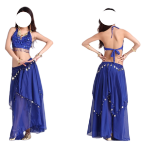 밸리댄스복 벨리댄스 댄스복 의상 밸리복2pcs 세트 여성 밸리 댄스 의상 성인 인도 무대 집시 Bellydance