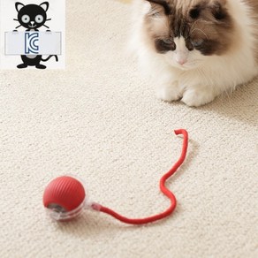 써니 고양이 강아지 원터치 스마트 펫 장난감 볼, 1개, 레드
