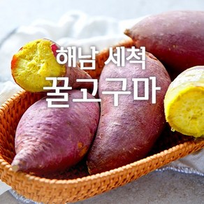 [웰푸드] 황토재배 세척 해남 고구마 꿀밤고구마 꿀고구마 베니하루카 3kg 5kg, 1박스, 3kg(한입)